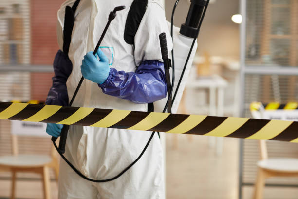 Professional Sewage Cleanup technician working in Monkton, MD